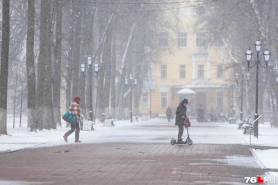Новогодняя погода в Центральной России: прогноз синоптиков