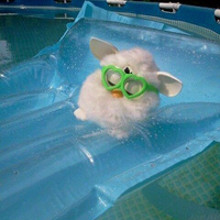 Аватарка medi_ann