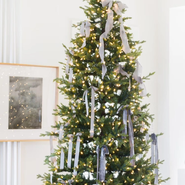 Источник:  Алайса Розенек