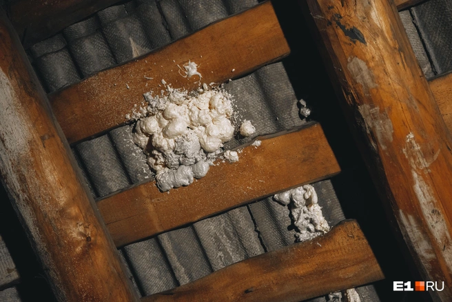 Чтобы балки не падали на головы детей, Григорий сам запенивает все дыры в кровле | Источник: Кирилл Кушнов / E1.RU