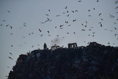 Новосибирский оператор отходов убыточен на 10,6 млн в 2025