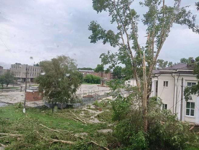 Источник: vk.com / zao_live