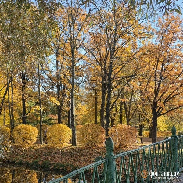 Источник: читательница «Фонтанки» Елена