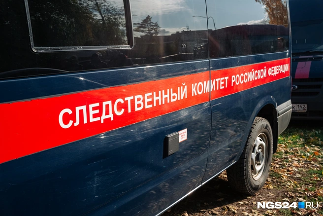 СК возбудил дело | Источник: Максим Серков / NGS42.RU