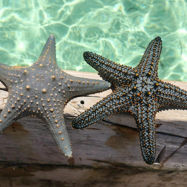 Источник: личный архив Натальи Бурухиной