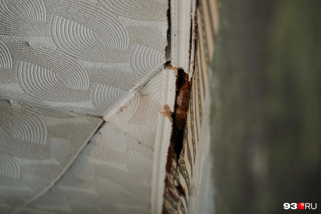 Потолок отошел от стены из-за смещения земли | Источник: Дарья Паращенко / 93.RU