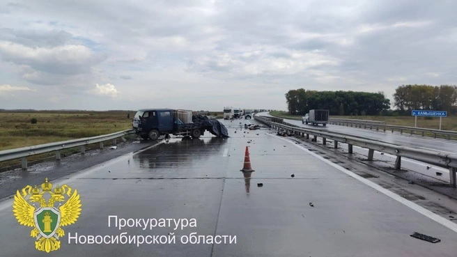 Источник: прокуратура НСО