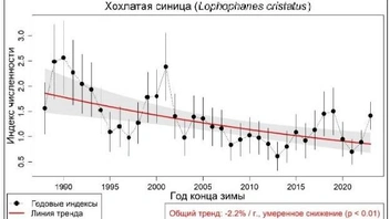 Динамика изменения численности хохлатой синицы | Источник: Birdsmoscow.net.ru