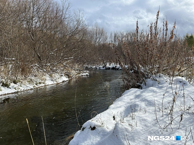 В округе несколько речек | Источник: Алексей Тайганавт / NGS24.RU