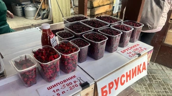 Маленькие порции | Источник: Карина Оконешникова / 14.RU
