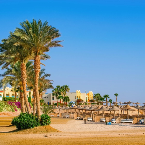 Источник: Tunatura/Shutterstock/Fotodom.ru