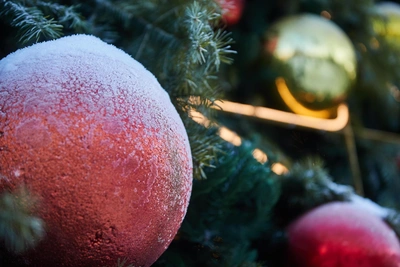 Новогодние ярмарки стартуют в Новосибирской области