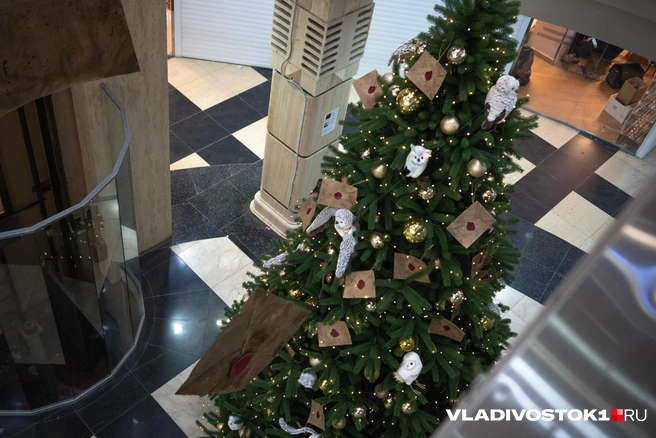 Источник: Елена Буйвол / VLADIVOSTOK1.RU