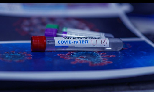 Суточное число инфицированных COVID-19 в Петербурге вновь выросло