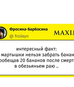 Шутки вторника и это не Египет