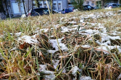 В Забайкалье 31 августа ожидаются заморозки до −2 °C
