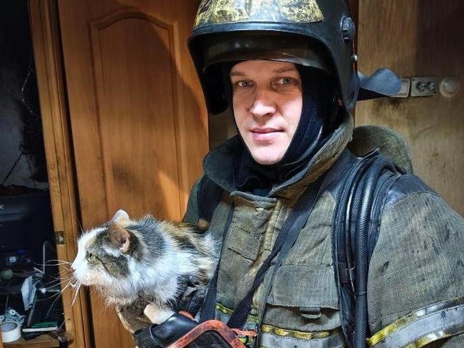 Один из спасённых пожарными котов | Источник: ИА «Ночные новости»