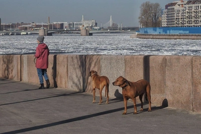 Антициклон определит погоду в Петербурге 21 марта