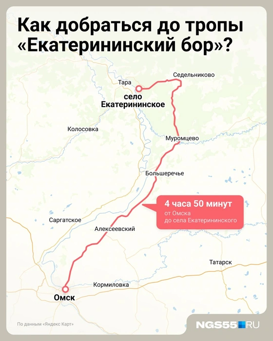 Дорога не быстрая | Источник: Евгения Бикунова / Городские медиа