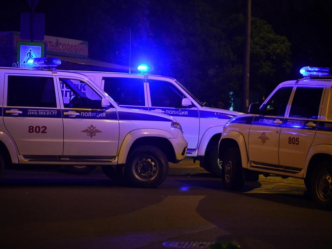 Подозреваемого задержали практически сразу после преступления. | Источник: Артём Устюжанин / E1.RU