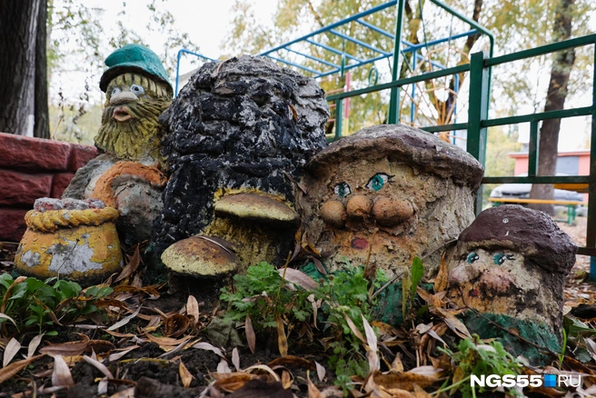 Будто оказался в волшебном лесу | Источник: Евгений Софийчук / NGS55.RU