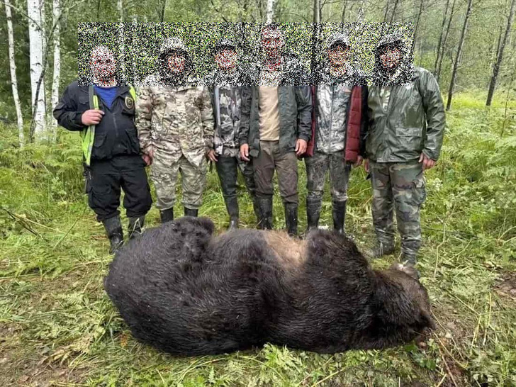 Моя девушка в майке и трусах фото