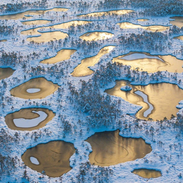 Второе место в номинации «Пейзаж» | Источник: Sven Začek / European Wildlife Photographer of the Year 2025