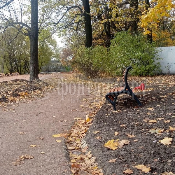 Источник: Ирина Корбат / FONTANKA.RU