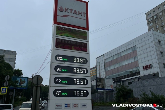 Источник: Елена Буйвол / VLADIVOSTOK1.RU