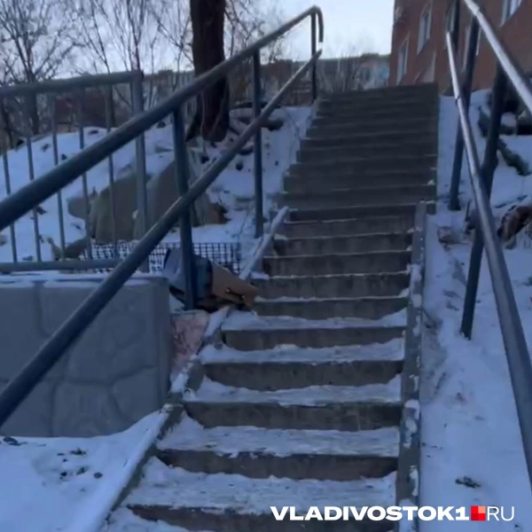 Источник: Елена Буйвол / VLADIVOSTOK1.RU