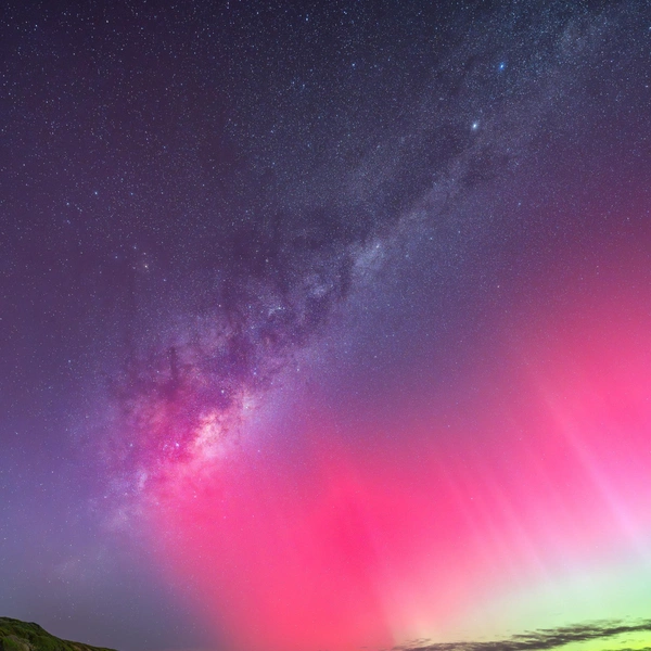 Второе место в номинации «Суша» | Источник: Dylan Giannakopoulos / Oceania Photo Contest 2025