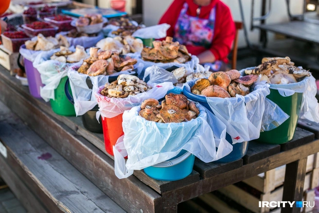 Грибы уже продаются возле оживленных дорог | Источник: Ксения Филимонова / IRCITY.RU