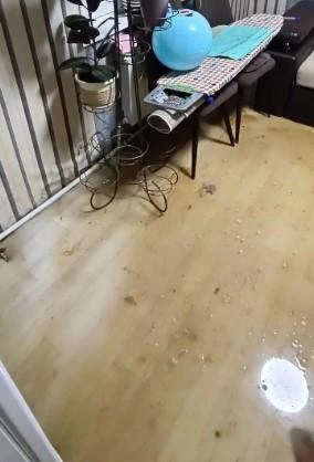 Откачивать воду жительница планирует сама | Источник: читательница НГС