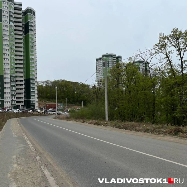 Источник: Алиса Князева / VLADIVOSTOK1.RU