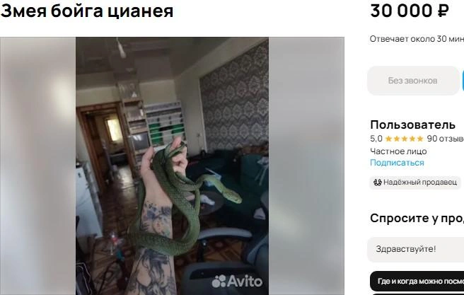 Источник: сайт объявлений