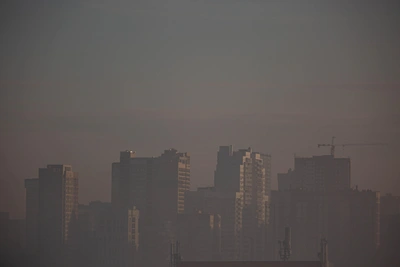 Сильные туманы ухудшили видимость в Новосибирской области