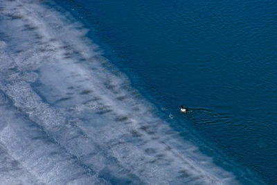 В Томске на выходных резко похолодает