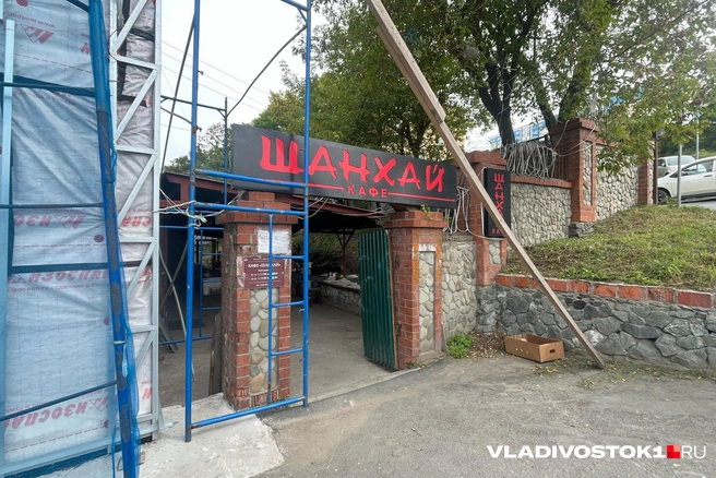 Источник: Елена Буйвол / VLADIVOSTOK1.RU
