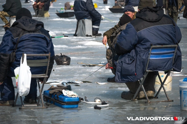 Источник: Елена Буйвол / VLADIVOSTOK1.RU