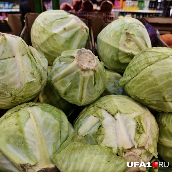 Источник: Булат Салихов / UFA1.RU