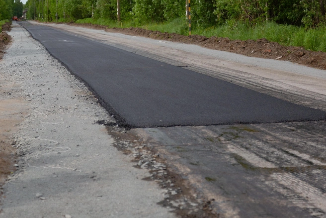 В Дергачевском района может появиться новая дорога | Источник: Иван Митюшёв / 29.RU