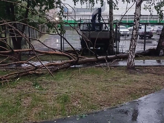 Источник: Читатель 72.RU