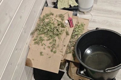 Пензенские полицейские изъяли крупную партию наркотиков