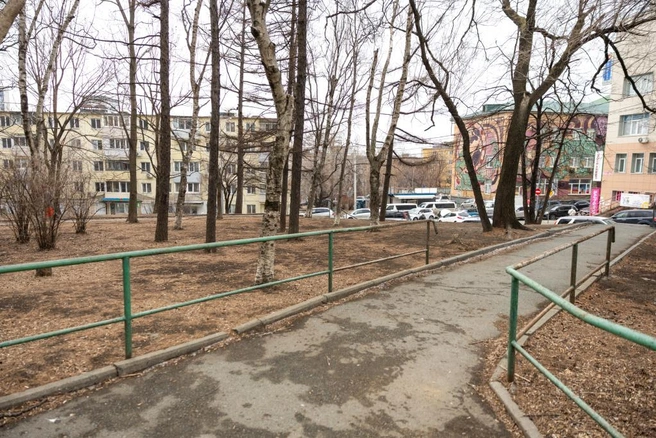 Источник: vlc.ru