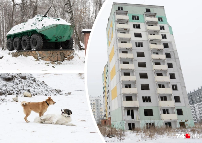 Рядом с будущим ЖК от самарского застройщика — заброшенные многоэтажки Минобороны, кладбище и стаи собак | Источник: Михаил Шилкин