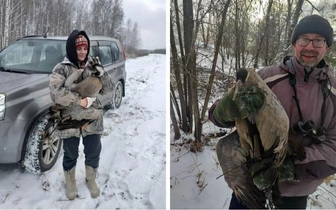 «Может легко глаз выклевать»: три новосибирца поймали на болоте журавля со сломанным крылом