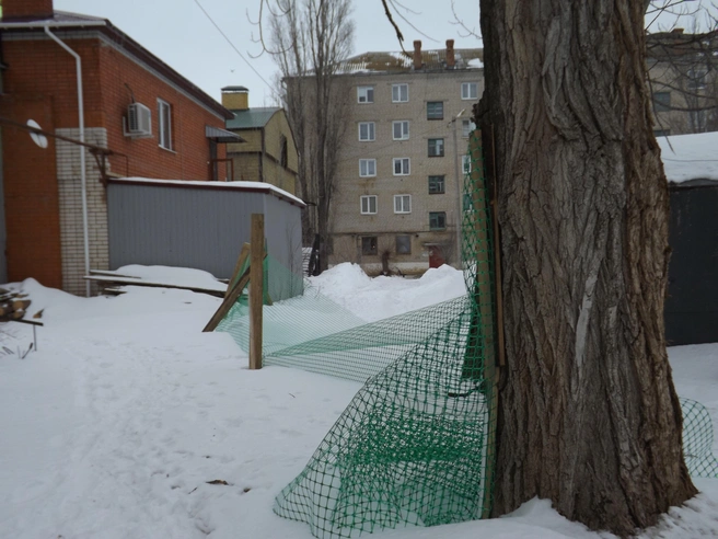 Ограничительную сетку установили также во дворе дома. | Источник: Денис Паустовский / V1.RU
