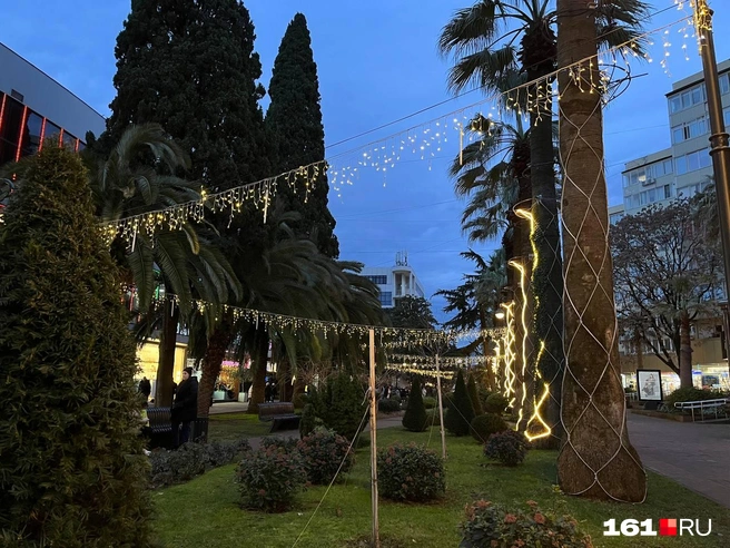 Источник: Ксения Сухоленко / 161.RU