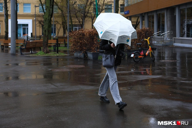 Обычное московское лето ожидается в Москве в ближайшие дни | Источник: Артем Устюжанин / MSK1.RU