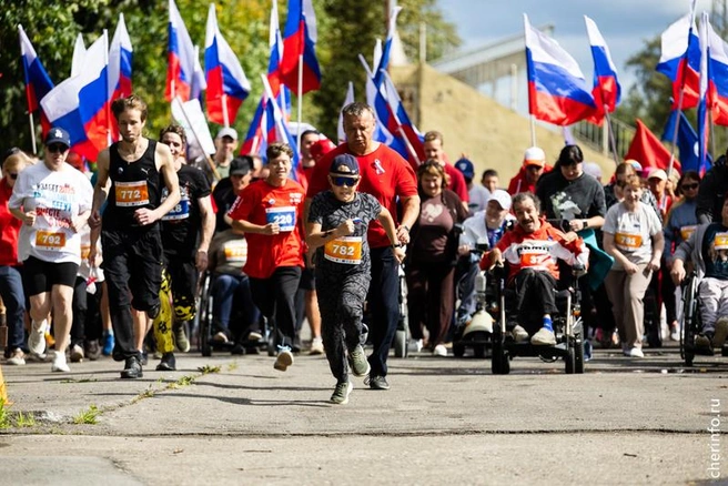 Источник: st.cherinfo.ru